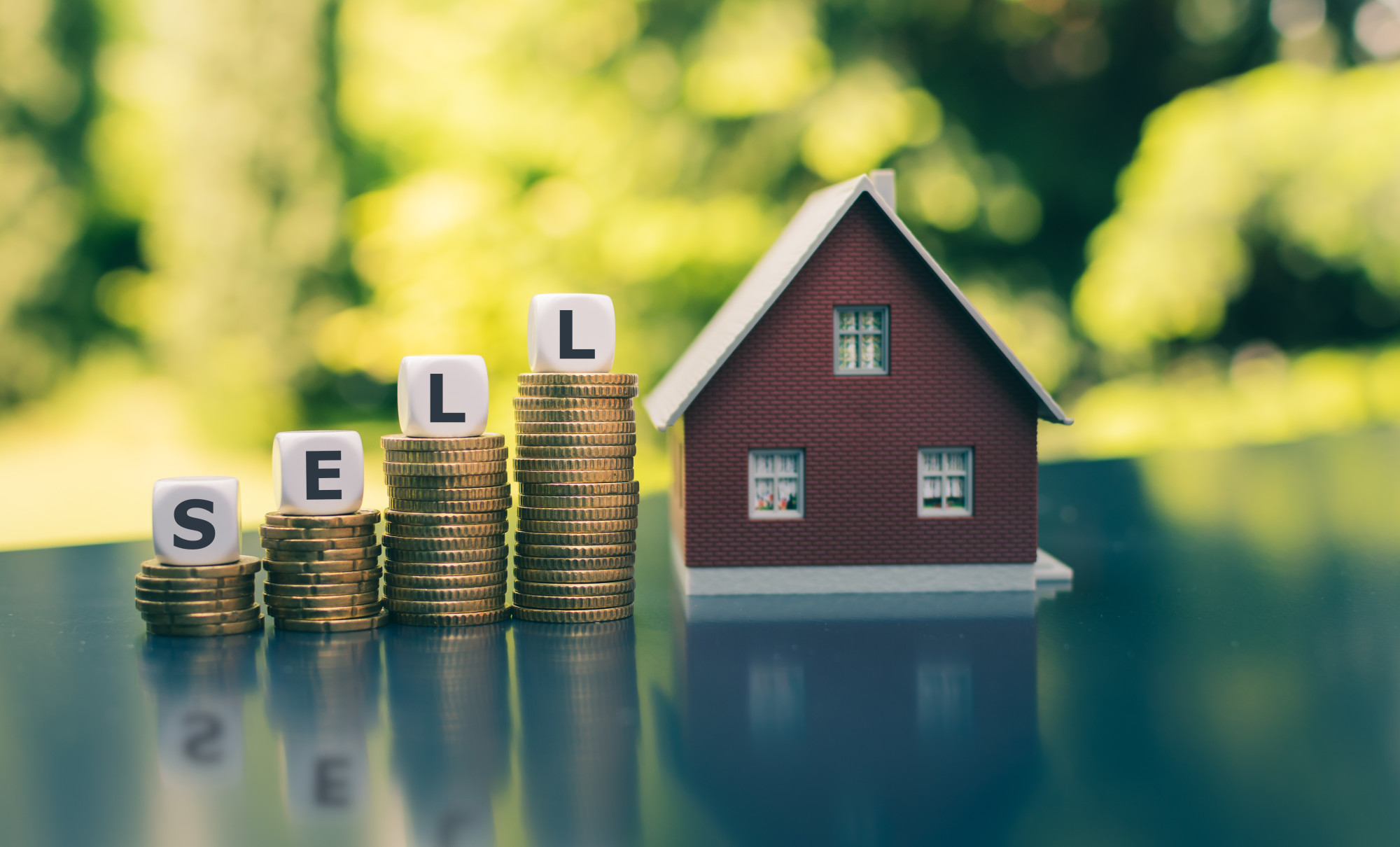 Can You Sell a House With a Mortgage? This is What You Need to Know Areas of My Expertise