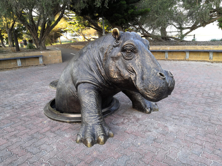 Areas of My Expertise Lifestyle Advice and Blog