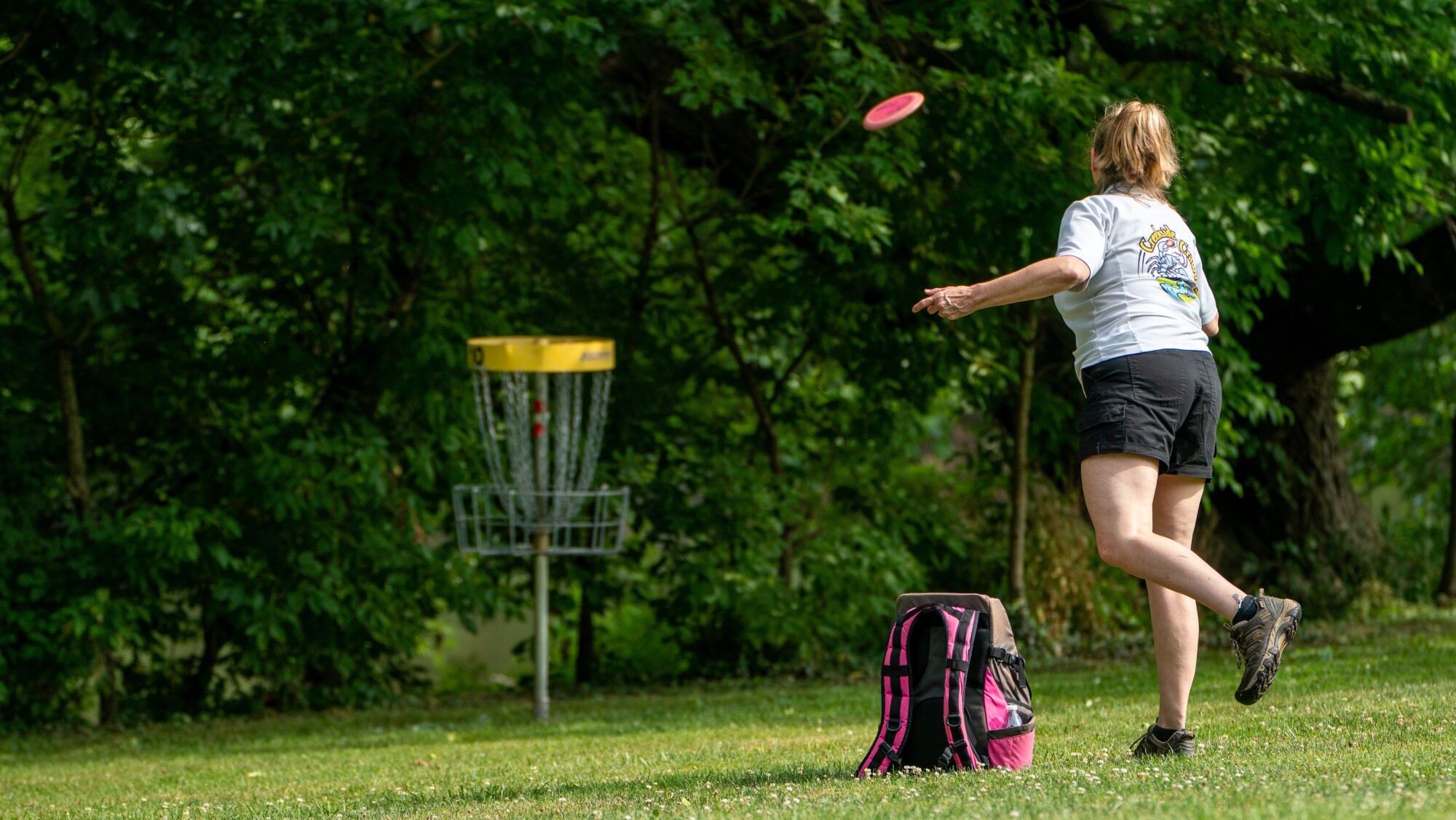 A Quick Guide to Disc Golf for Beginners Areas of My Expertise