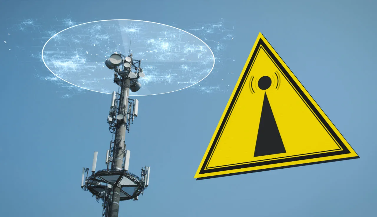 Risks of EMF 